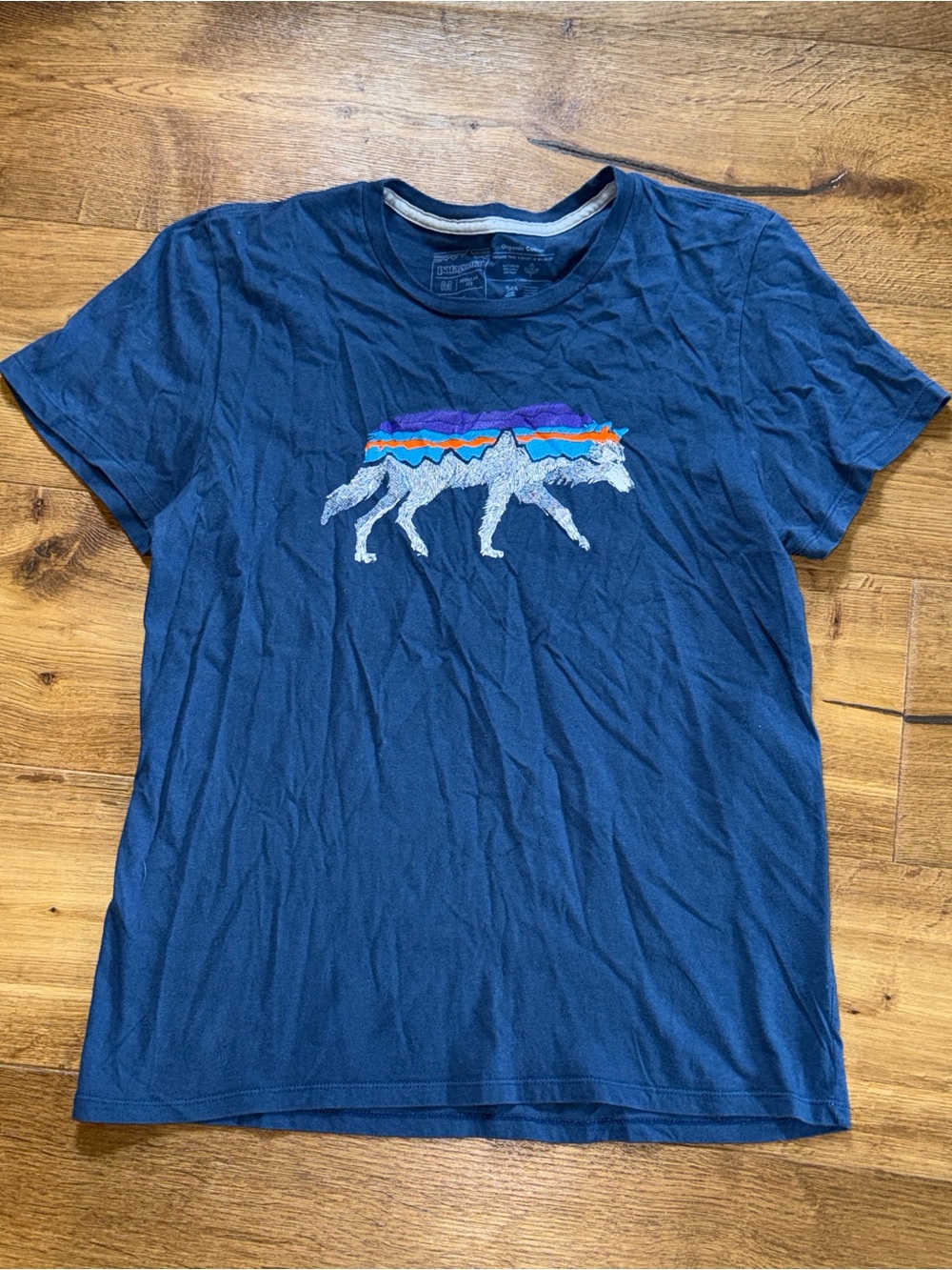 Patagonia Back For Good Navy Organic Tee